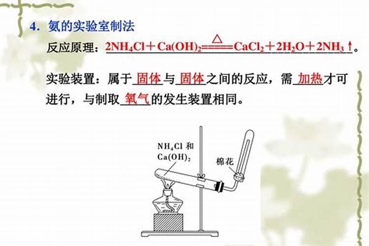 黄杨的生长需要什么肥料