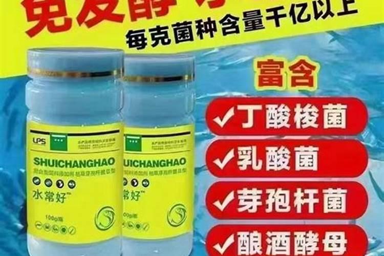 砂糖桔采收要注意哪些事项