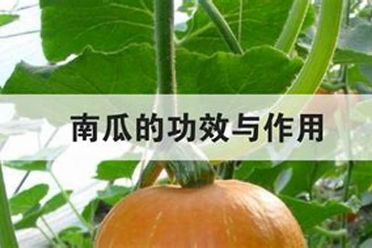 硒对人体有什么作用