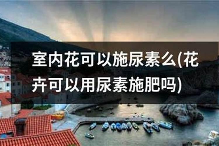 砂糖橘如何施肥 分享种植砂糖橘施肥技术经验