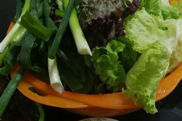 甲壳质的作用和功效