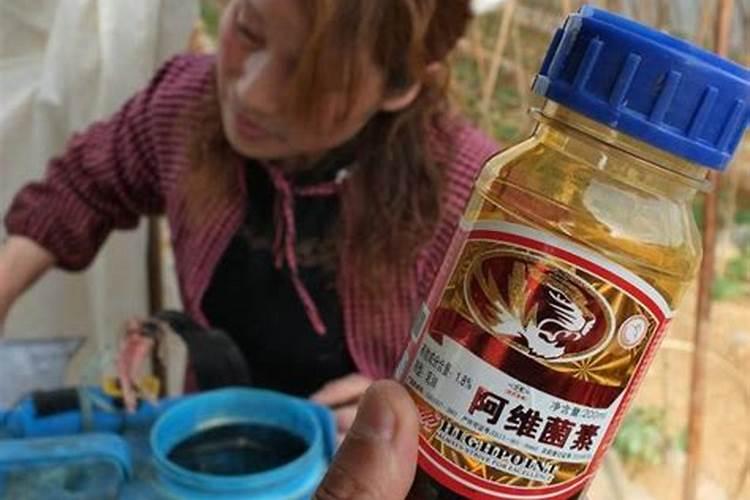种植油菜为什么要施硼肥 油菜啥时候施硼肥好