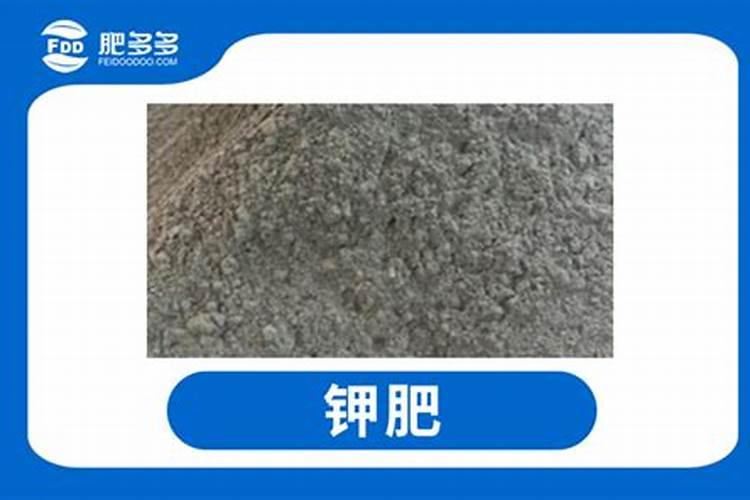 芋头什么时候施肥能高产量(芋头使用肥料名称及施肥时间)