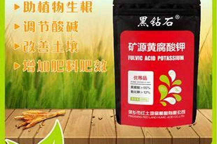 求金银花有哪些种类及图片提供