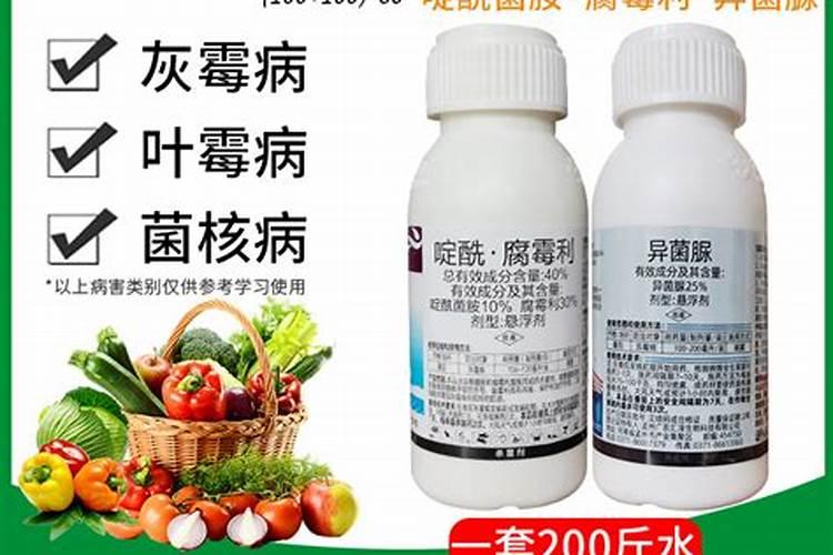 孔雀鱼水霉病怎么治疗
