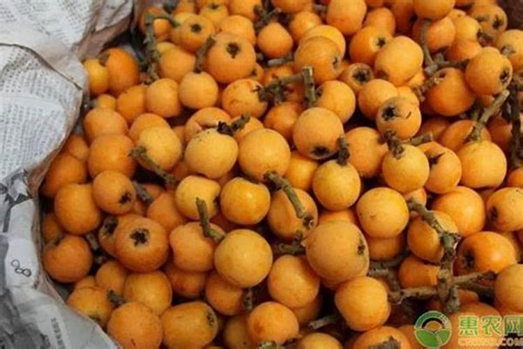 槟榔树保花保果用什么农药