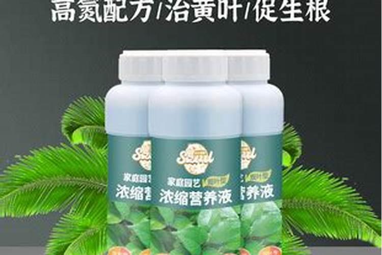 求解,观叶型营养液对植物有效果吗