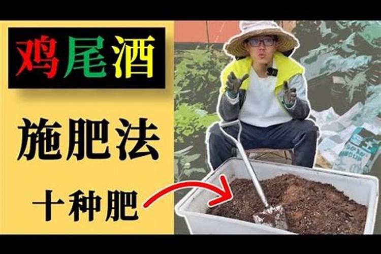 杨桃的种植条件是什么