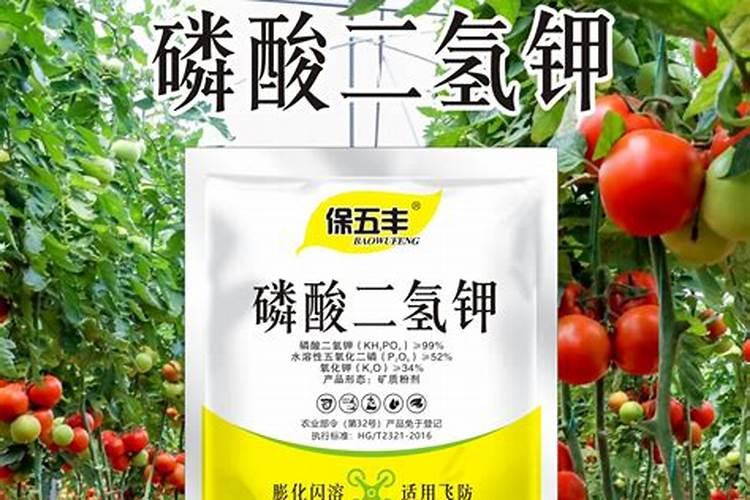 磷肥是什么肥料做成
