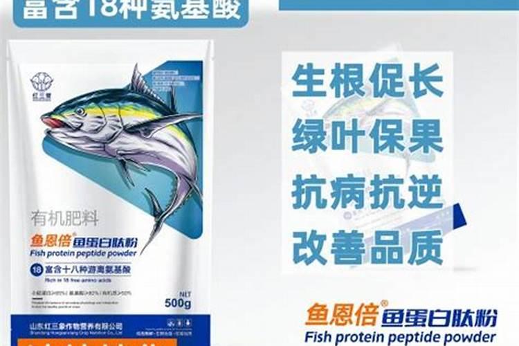 化粪池肥水能否直接淋火龙果