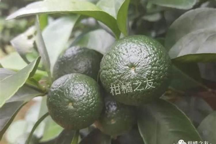硫酸钾复合肥溶于水吗？可以用作水溶肥吗？