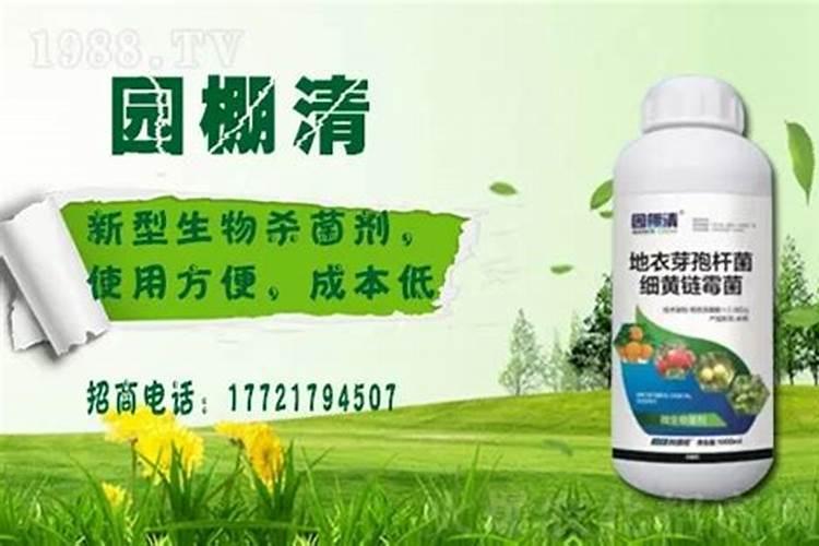 紫根兰在北方冬天可以施磷酸二氢钾吗？
