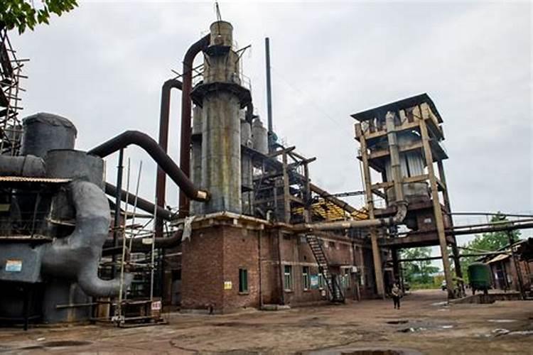 河南洛阳嵩县丘陵地带可以吗种植冬枣