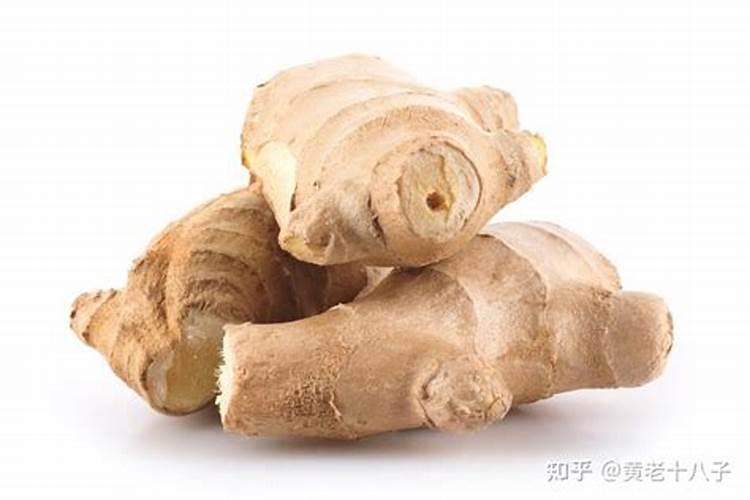 车厘子喜阴还是喜阳