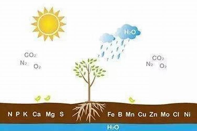 腐腐植酸和氨基酸有什么区别
