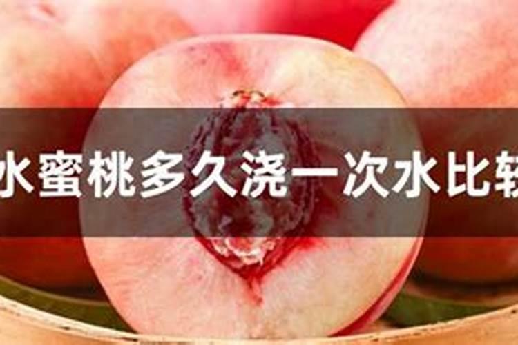 番茄脐腐病用什么药打
