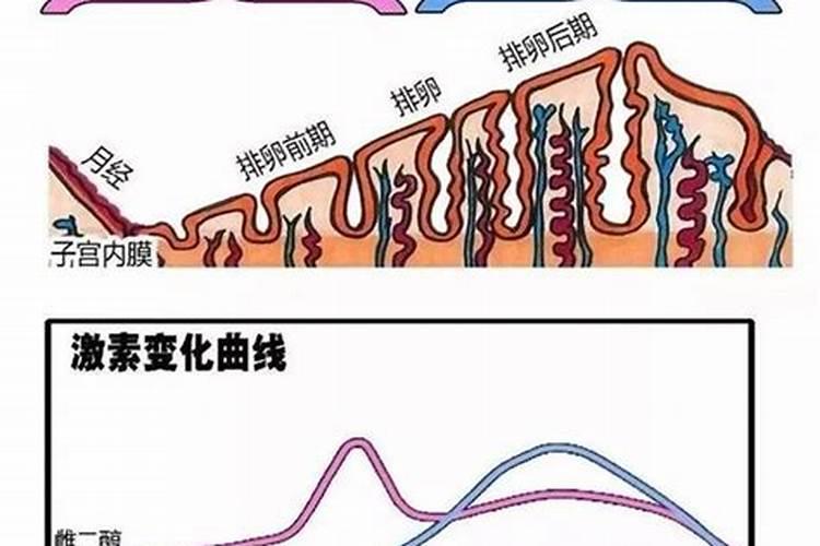 什么的肥料怎么填空三年级？