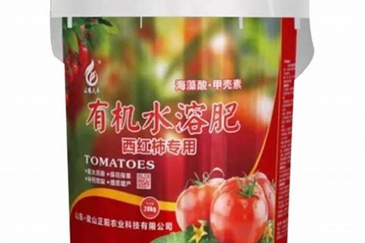 家庭西红柿如何种植 家庭西红柿种植方法
