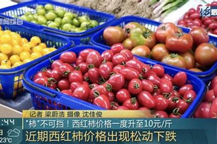 阳台种番茄时间和方法