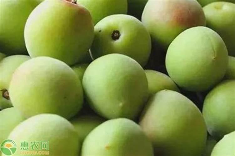 水培养花用什么肥料好