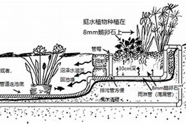 191农资人红糖可以和豆浆牛奶一起发酵做叶面肥吗