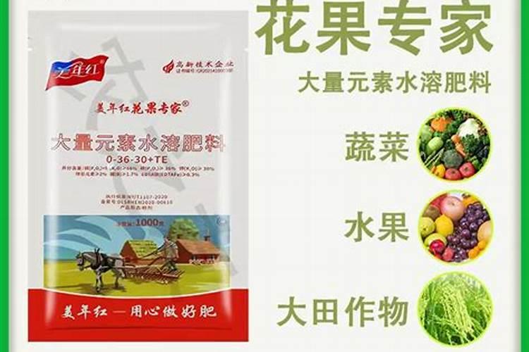 黄栌叶子变黄怎么办？