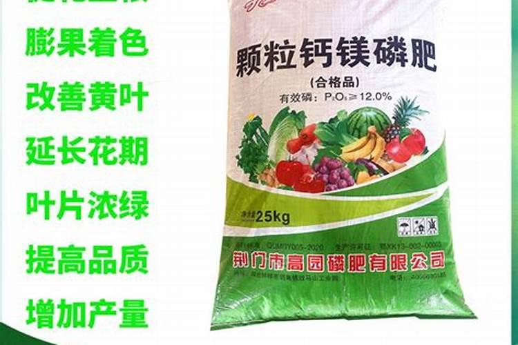 施肥什么天气最适合
