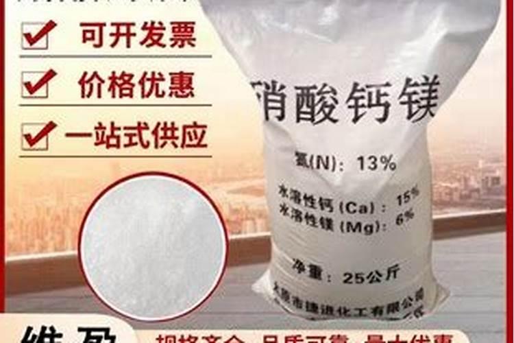 哪些地区禁止粽子出入境哪些不能带？