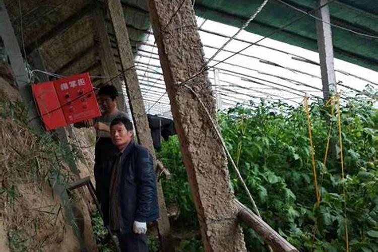 中国水溶肥十大名牌排行榜
