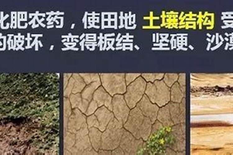 磷肥和钙肥能一起用吗 磷肥是酸性还是碱性的