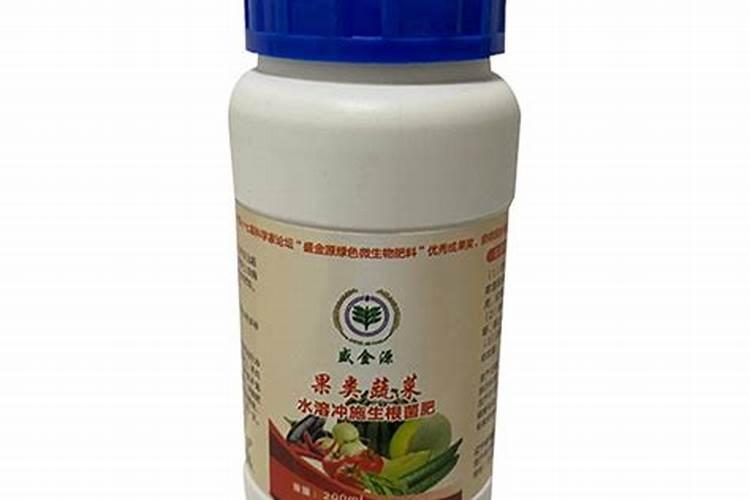 生姜生长期怎么种植管理能增产？生姜高产施肥技术