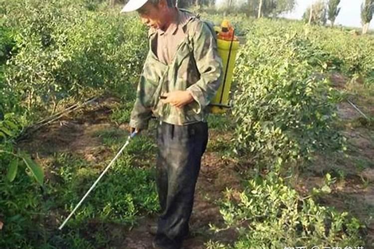 尿素叶面施肥30斤水用多少尿素