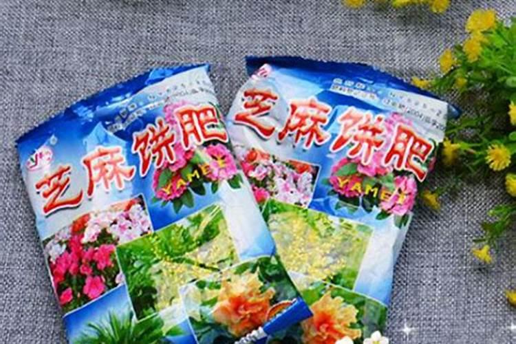盆栽花怎么施豆饼水啊,一般要隔几天施啊