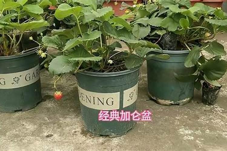 塔包谷么村的耕地主要种植哪些作物？