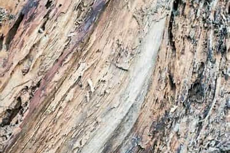 大量元素水溶肥的作用与功效 不同种类大量元素水溶肥料的用途