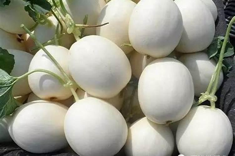 蔷薇施什么肥开花会多 蔷薇养殖技巧