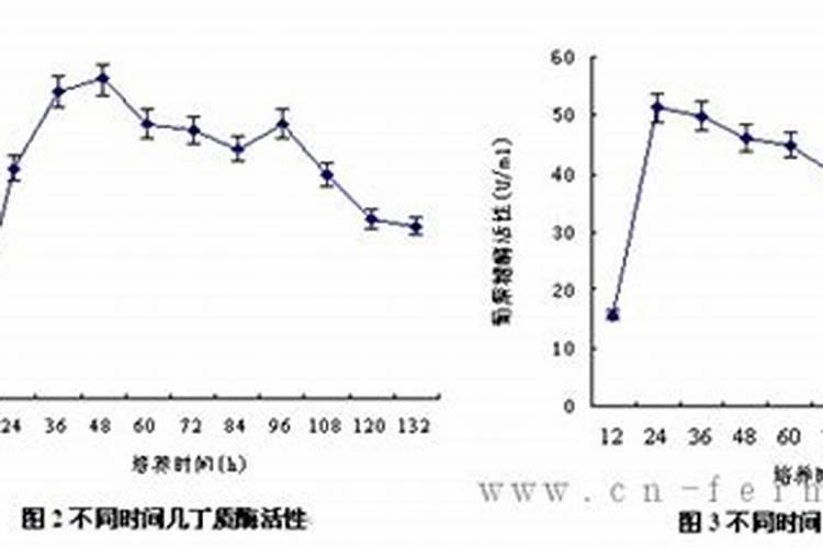 这样做才能保证咱们的苗木移栽成活