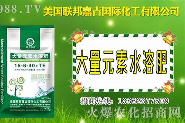 什么是铵态氮肥