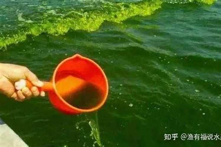 温室油桃上市早,花果期如何管理可以实现产量高、质量好？
