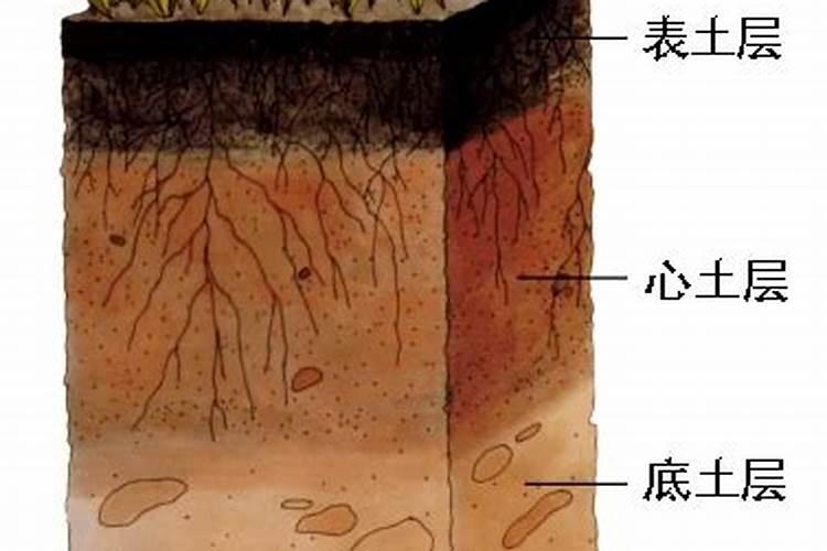 黄腐酸和黄腐酸钾的区别是什么？