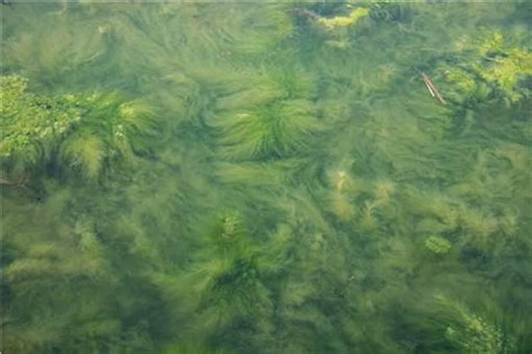 氮气减震怎么调节软硬