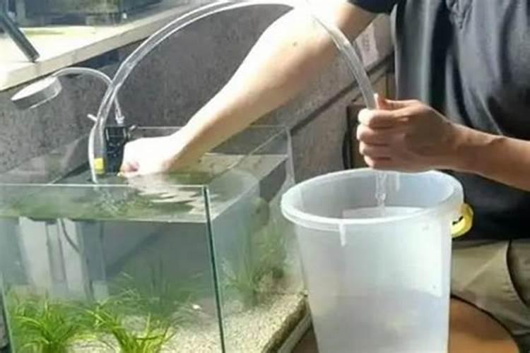 蔬菜徒长危害大,如何才能有效防徒长？