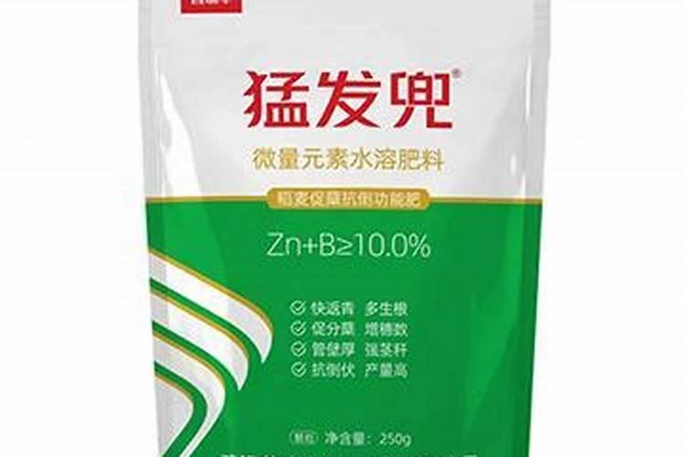 种植魔芋的大忌,这三种肥料都不能使用