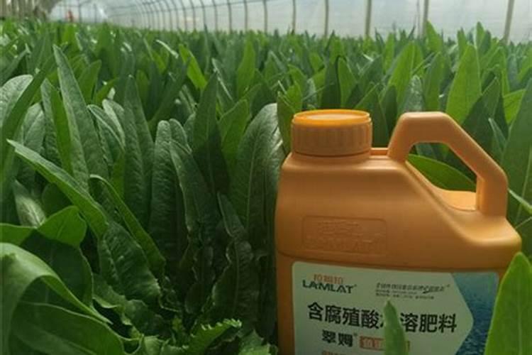 水溶肥是什么肥料,水溶肥怎么用效果好,注意事项