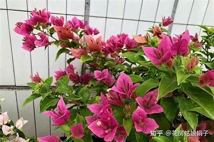 氮和硫的所有化合价的确定方式