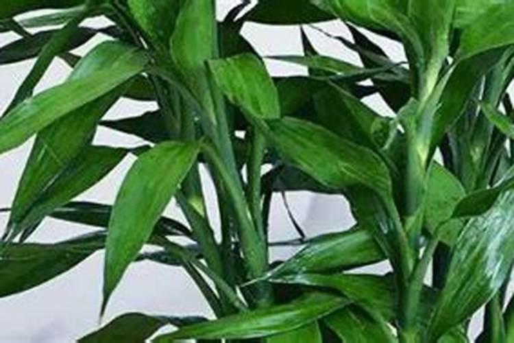求ATP与糖类的联系与区别
