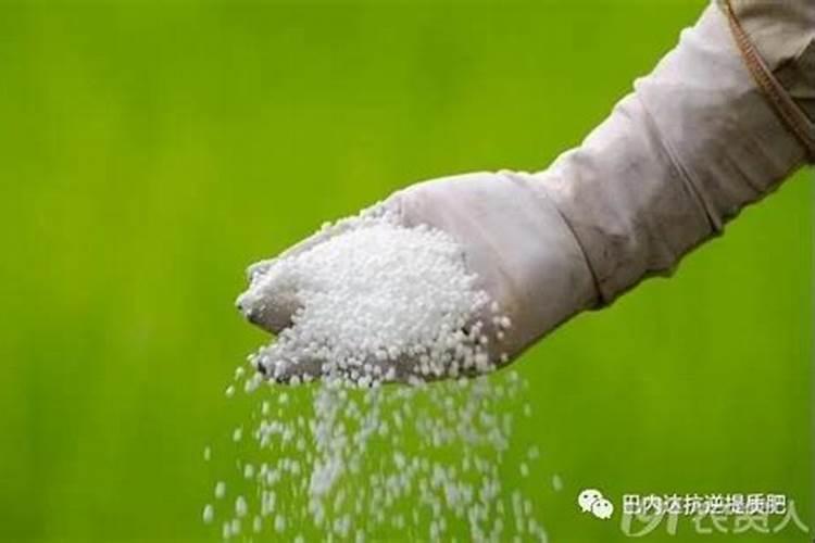 速绿120叶面肥可搭配什么肥料效果更好呢？
