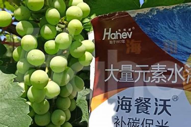 连翘什么时候开花？