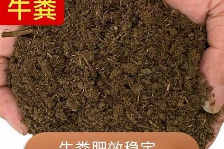 买土多少钱一立方