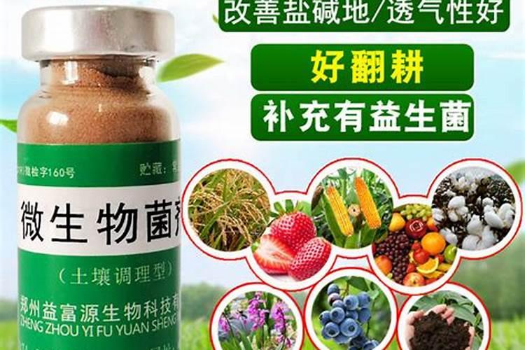 水溶肥是什么肥料